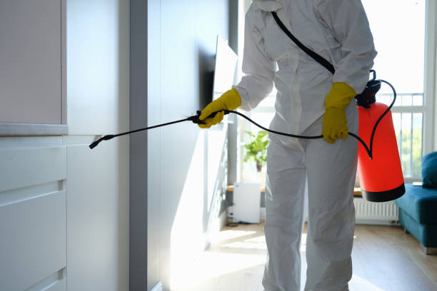 Home Mold Removal in Holden, MO