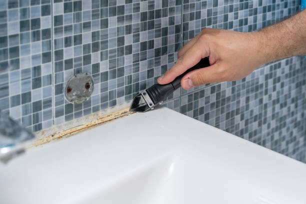 Best Certified Mold Removal  in Holden, MO