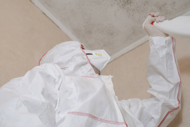 Best Commercial Mold Removal  in Holden, MO