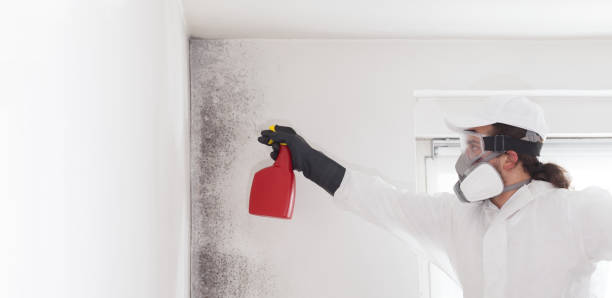 Water Damage Restoration in Holden, MO
