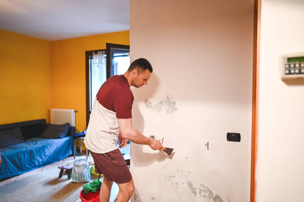 Best Toxic Mold Removal  in Holden, MO