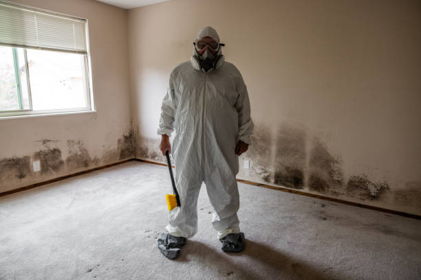 Best Crawl Space Mold Removal  in Holden, MO